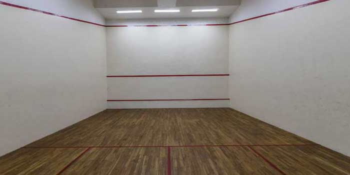 best recreation facilities south kolkata princeton club